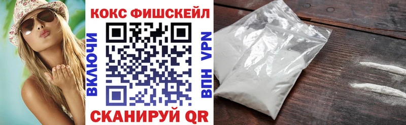 Cocaine FishScale  Купить закладки  Инза 