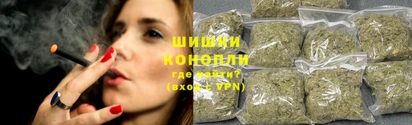 ПСИЛОЦИБИНОВЫЕ ГРИБЫ Нея