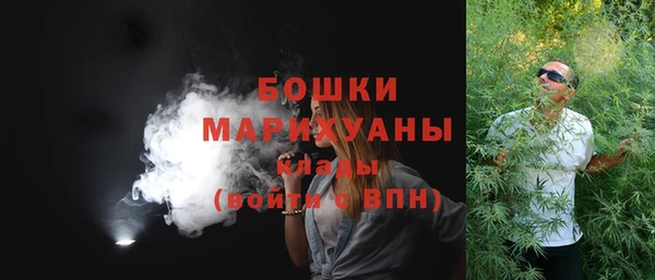 ПСИЛОЦИБИНОВЫЕ ГРИБЫ Нея