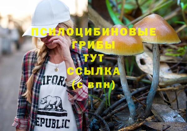 ALPHA-PVP Нефтегорск