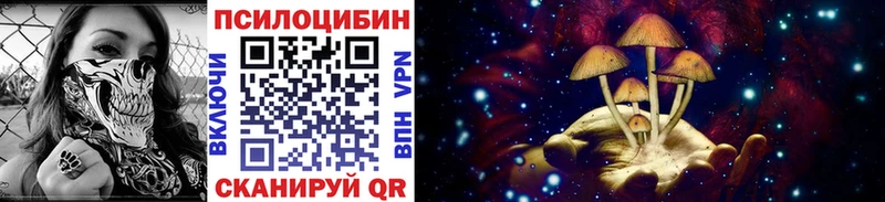 Купить  Инза  Псилоцибиновые грибы GOLDEN TEACHER 