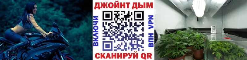 Шишки марихуана VHQ  Купить  Инза 
